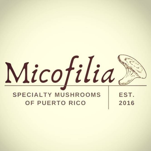 Micofilia