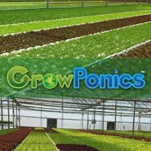 Growponics - PR