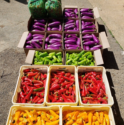 F&A Horti-products