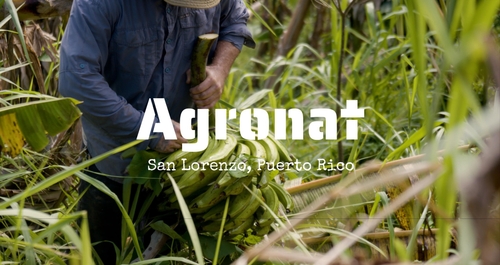 Agronat