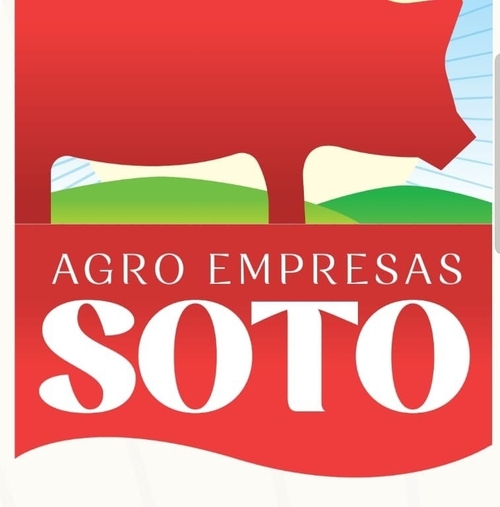 Jose Soto Soto