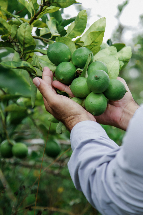 Agrotech