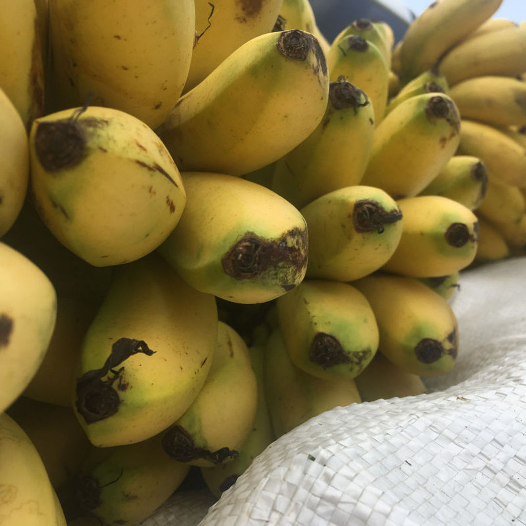 manzano-banana-delivered-to-your-door