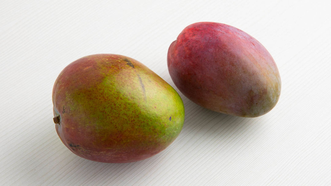 Osteen mango Delivered to your door