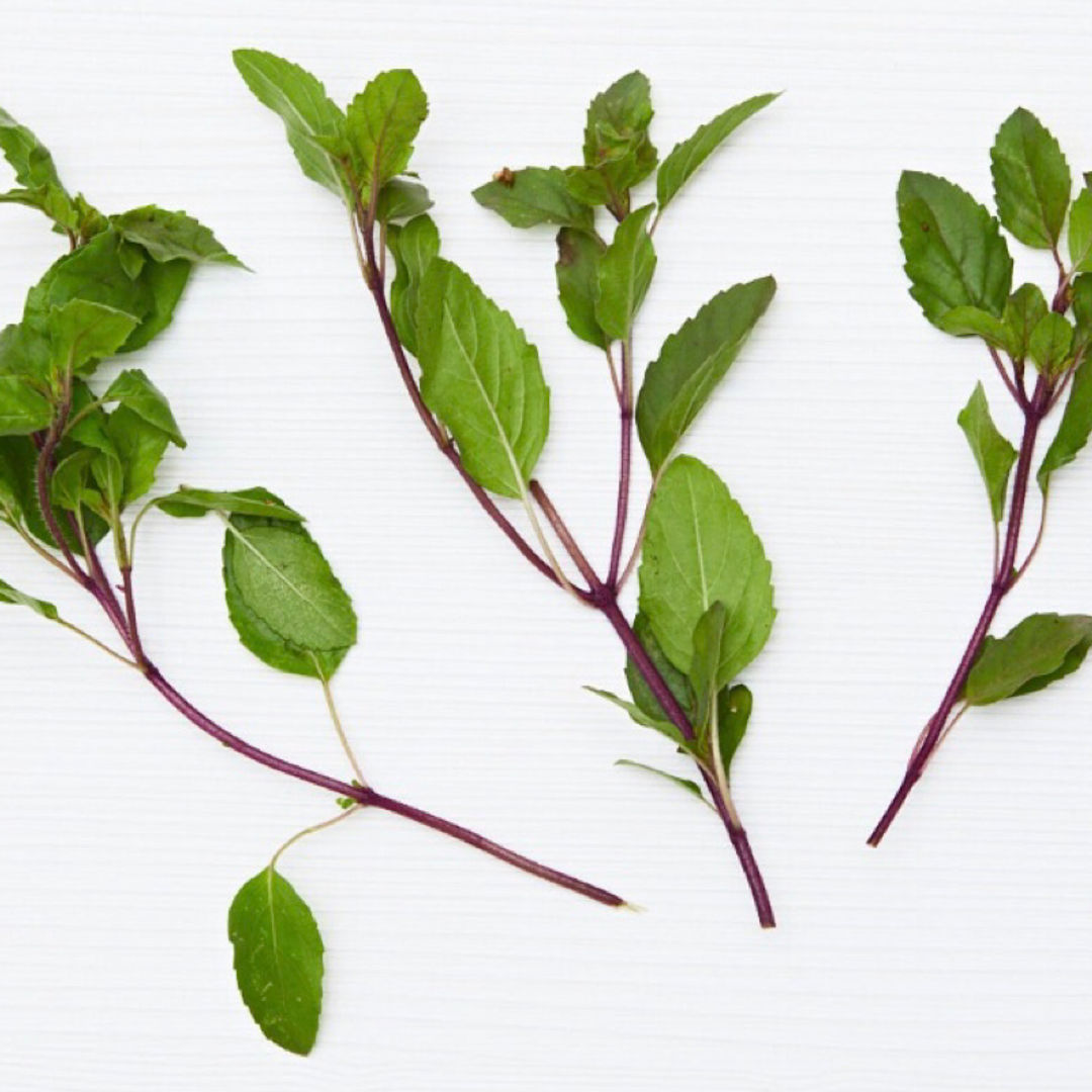 Holy basil Delivered to your door