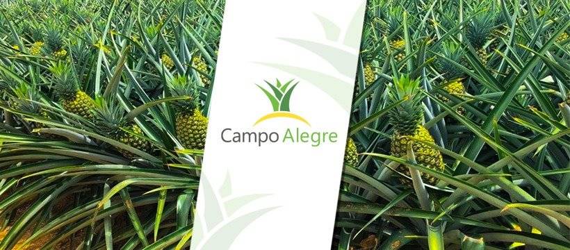 Campo Alegre