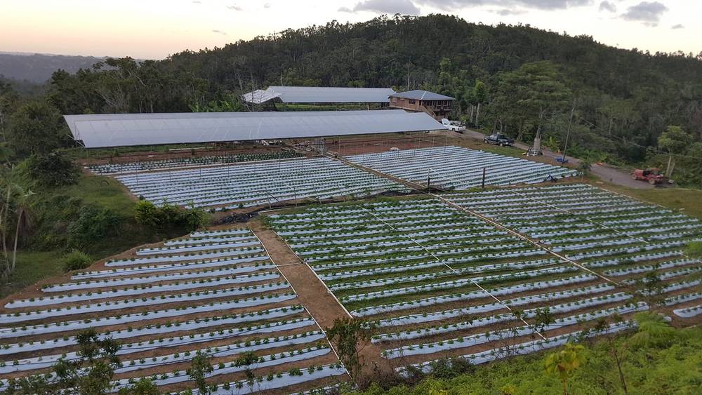 F&A Horti-products