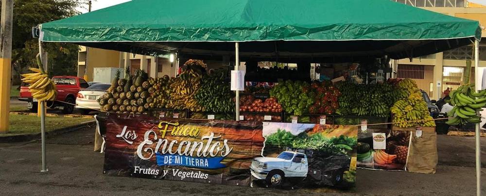 Finca Los Encantos de mi tierra