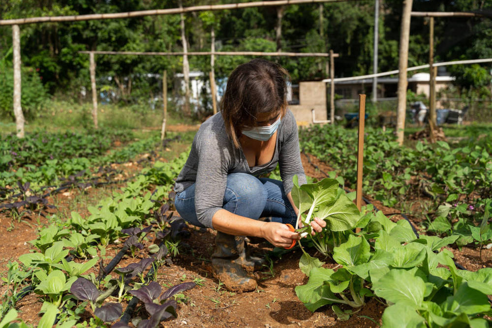 Microfinca