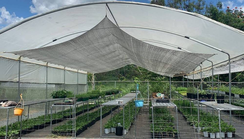 Family Farm Aquaponics