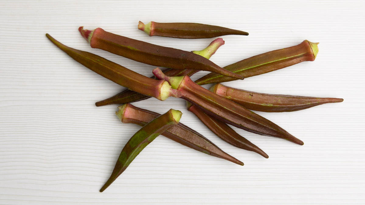 Quimbombó morado (okra)