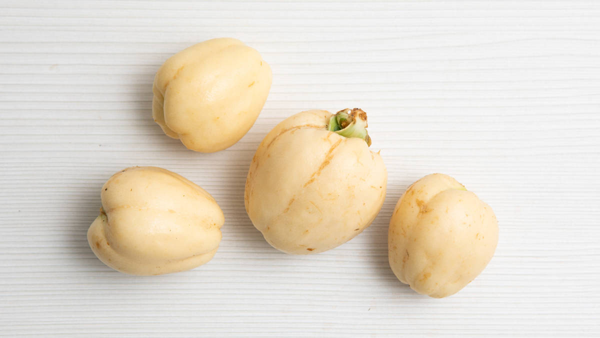 Chayote papa