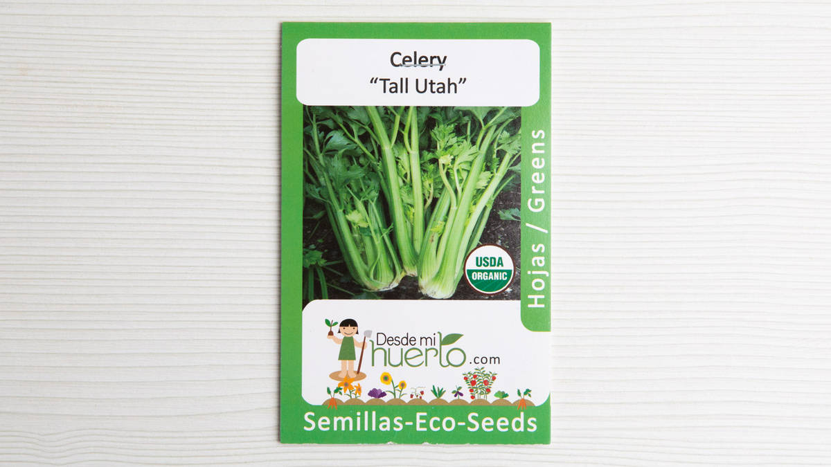 Semilla Celery