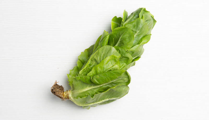 Lechuga Tropicana, 0.5 lb