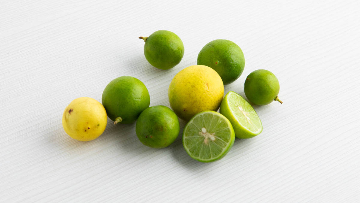 Limon criollo