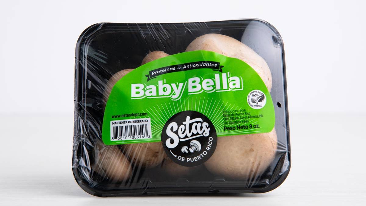 Setas Baby Bella (8 oz)