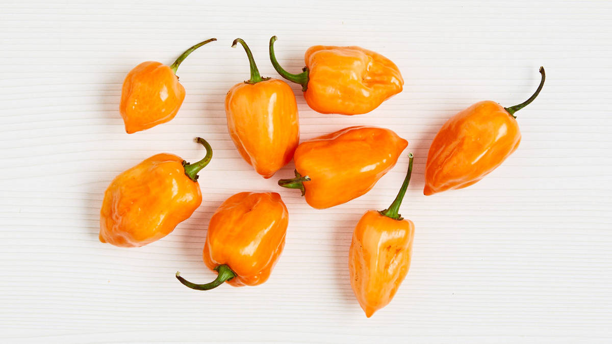 Pimiento habanero
