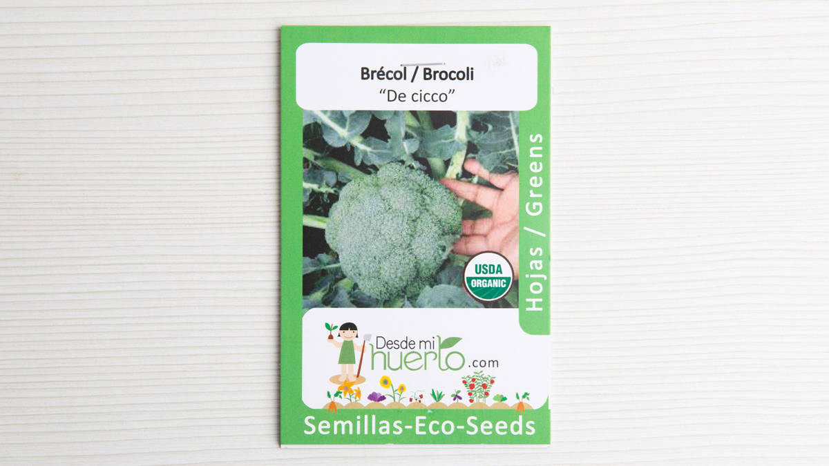 Semilla Brócoli
