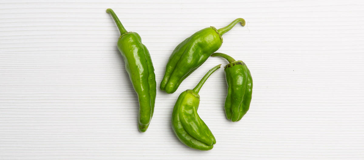 Pimiento padron