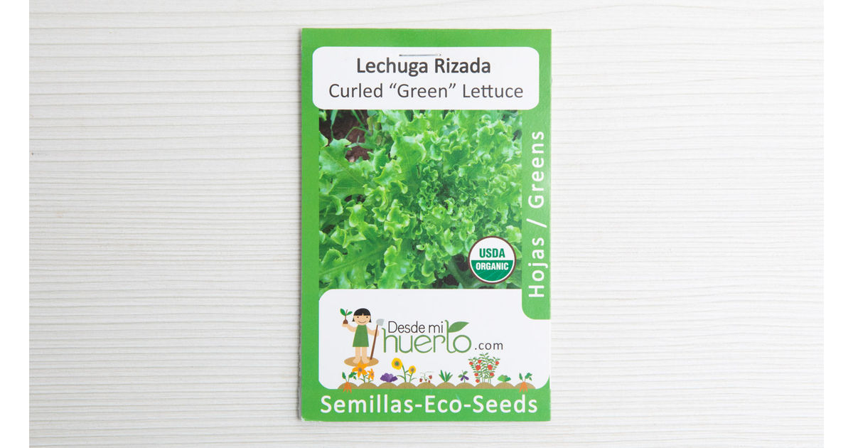 Curly Lettuce Seed
