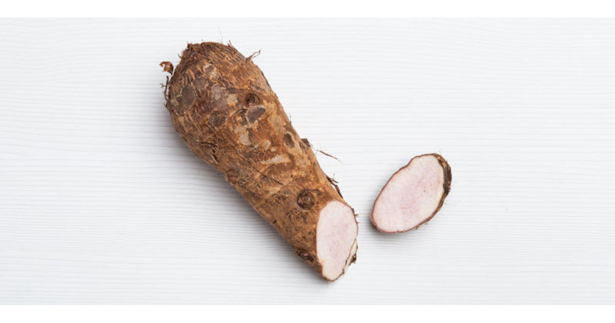 Yautia lila