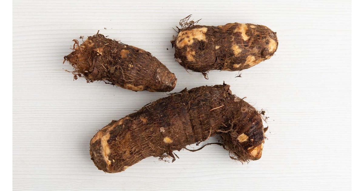 White taro root