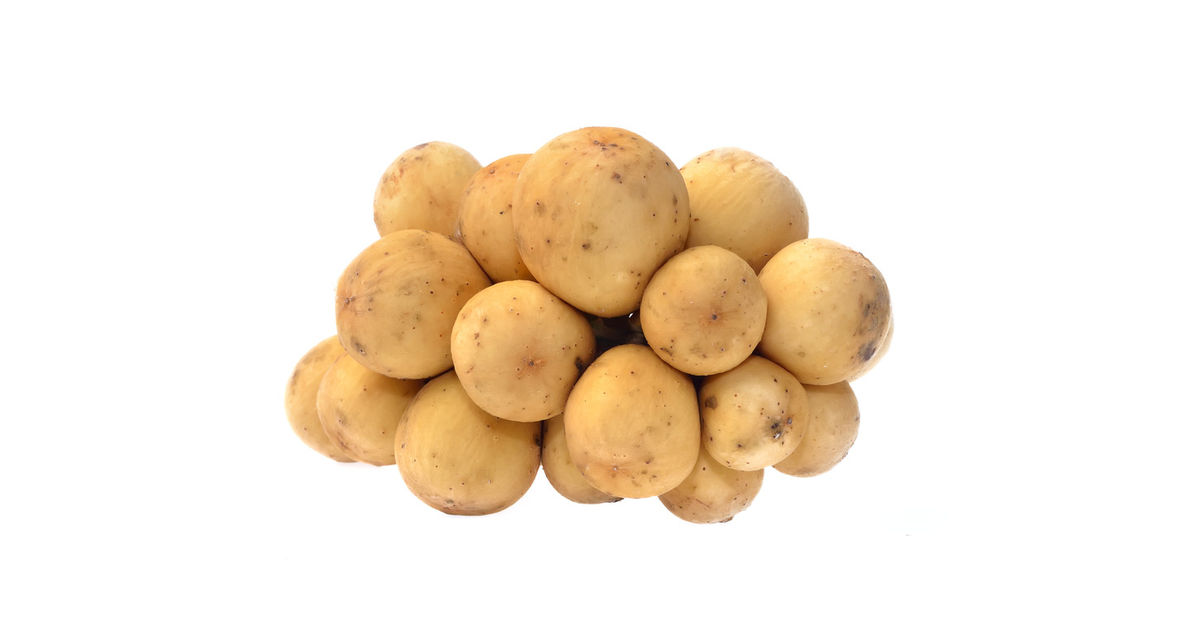  Lanzones