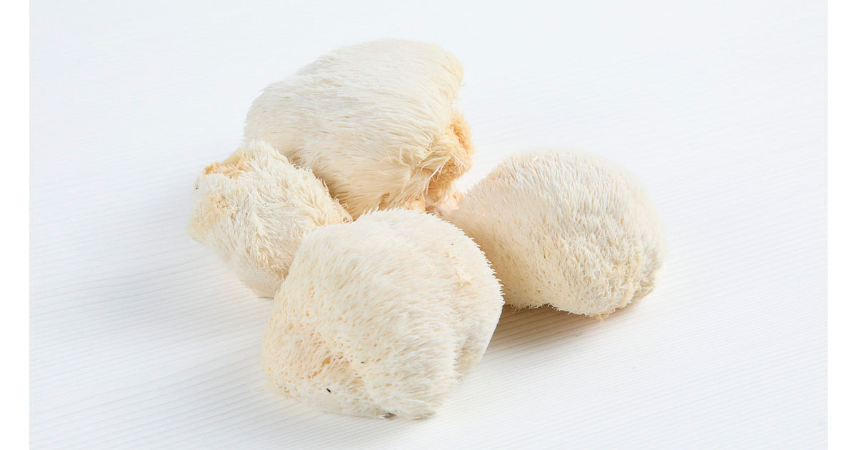 Setas Lion's Mane, 16oz