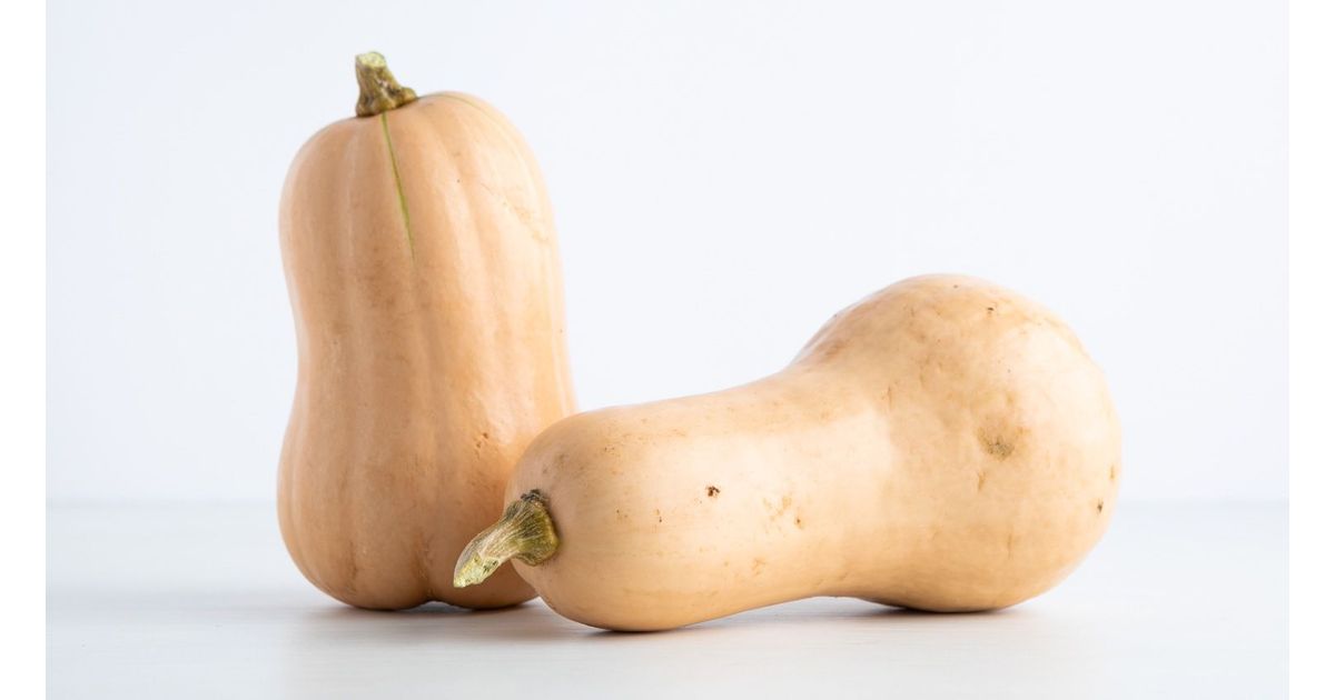 Butternut squash