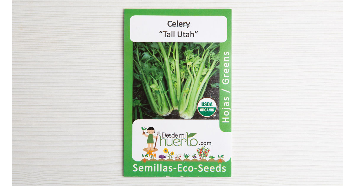 Celery Seed