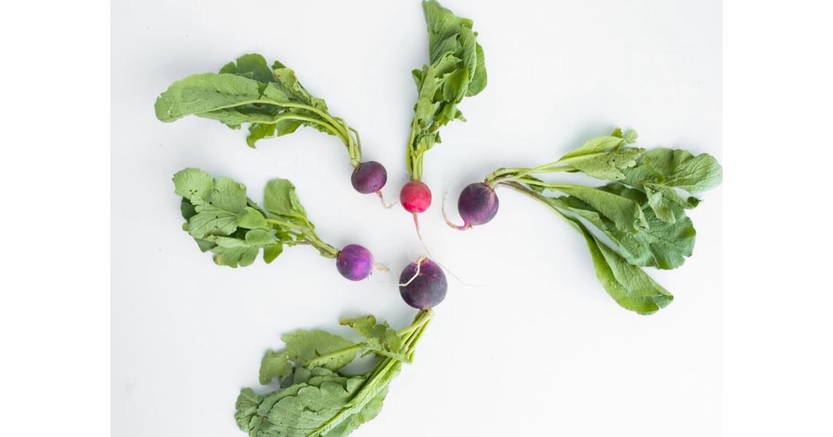 Local Beet