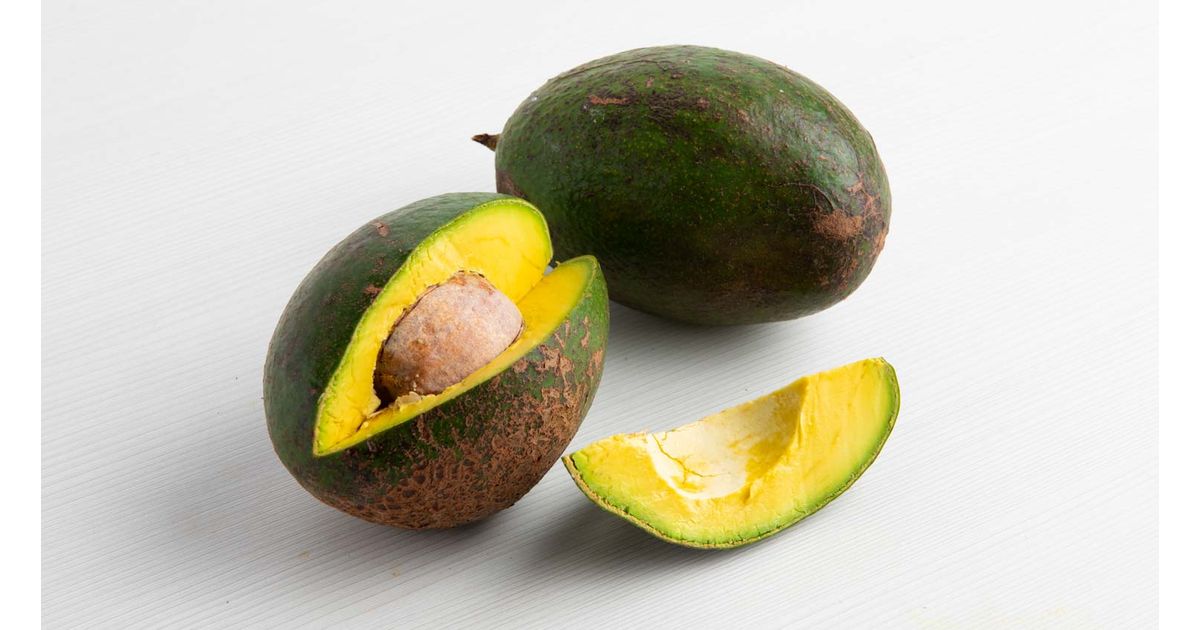 Aguacate extra grande