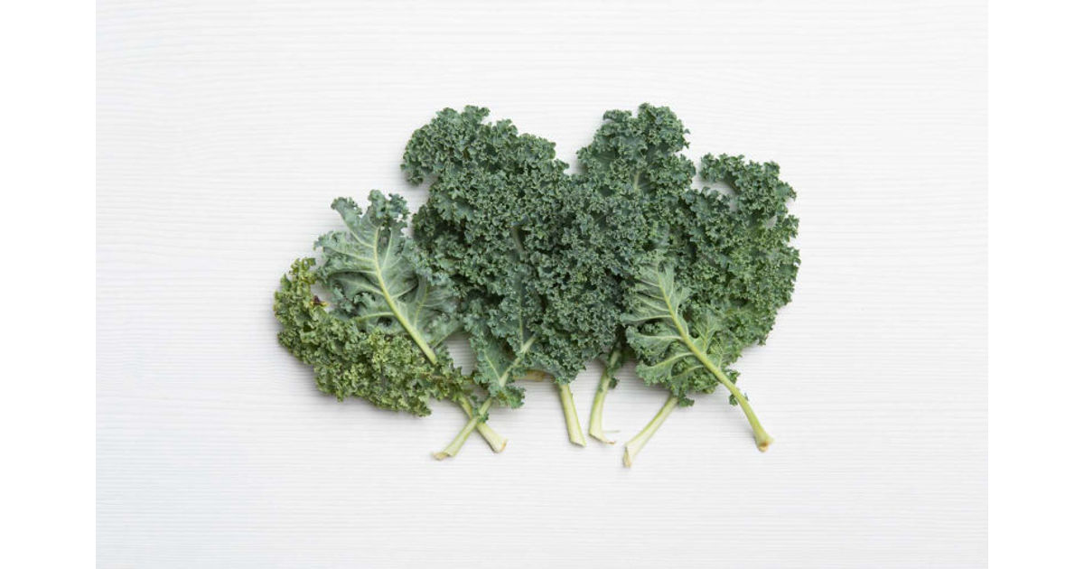 Kale (col rizada)