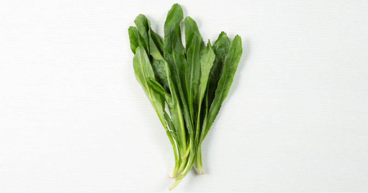 Culantro