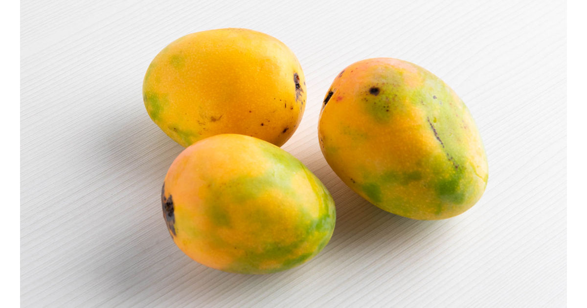 Mango Lippens