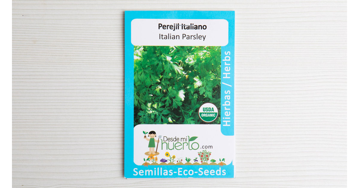 Semilla Perejil