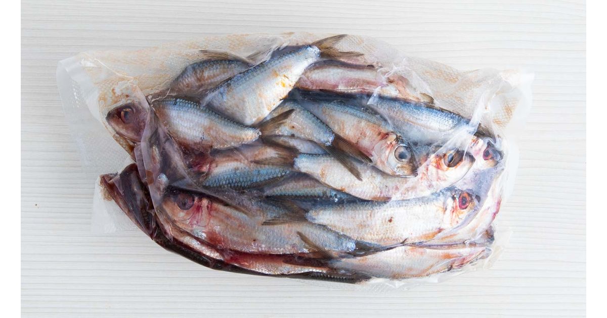 Sardines