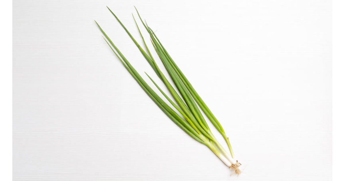 Chives