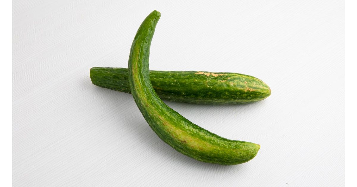 Pepino Oriental