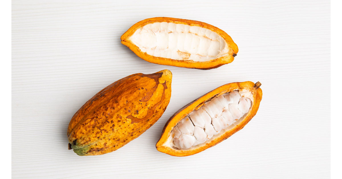 Cacao