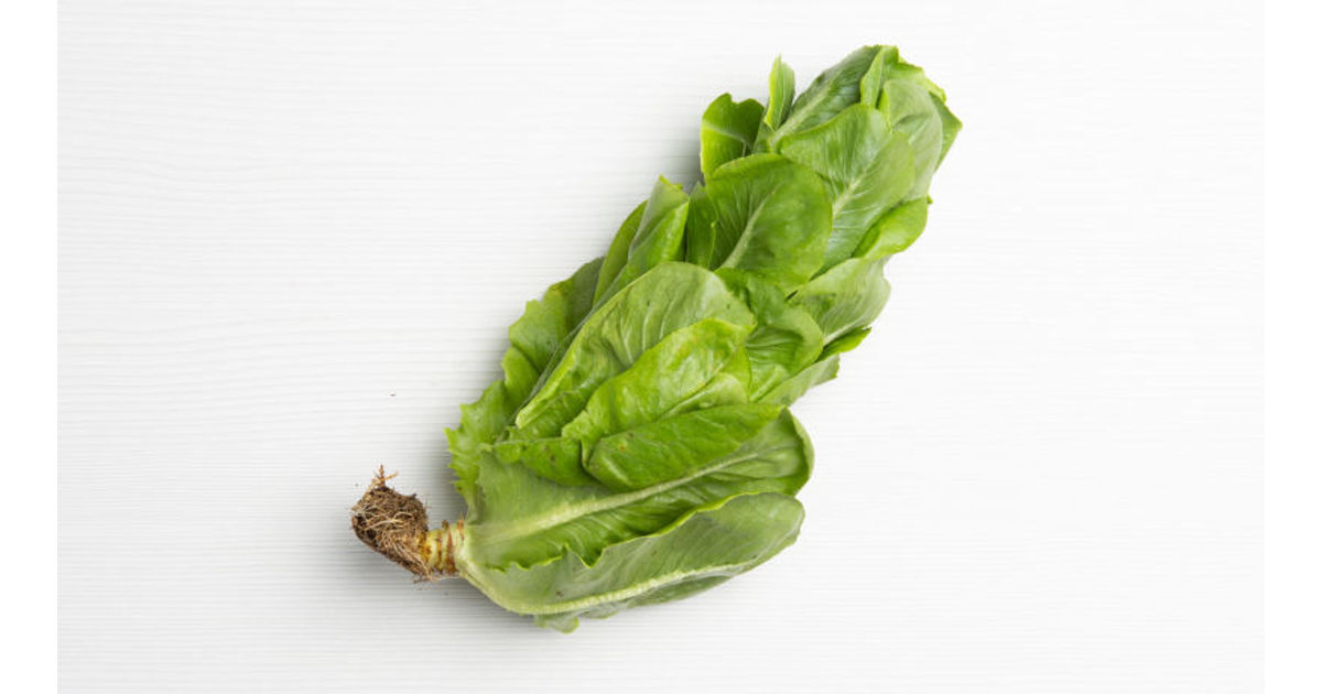 Lechuga Tropicana, 0.5 lb