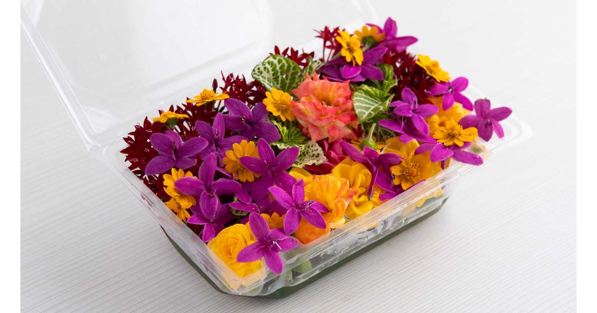 Flores comestibles