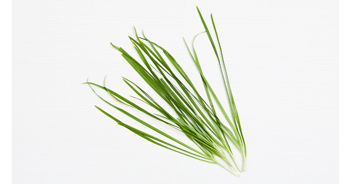 Garlic chives