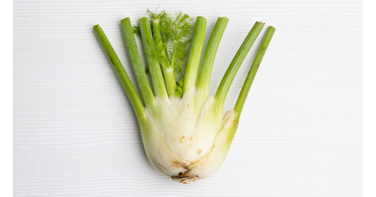 Fennel bulb