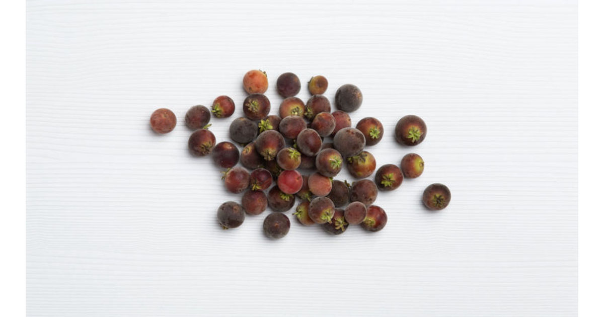 Ceylon gooseberry (ketembilla)