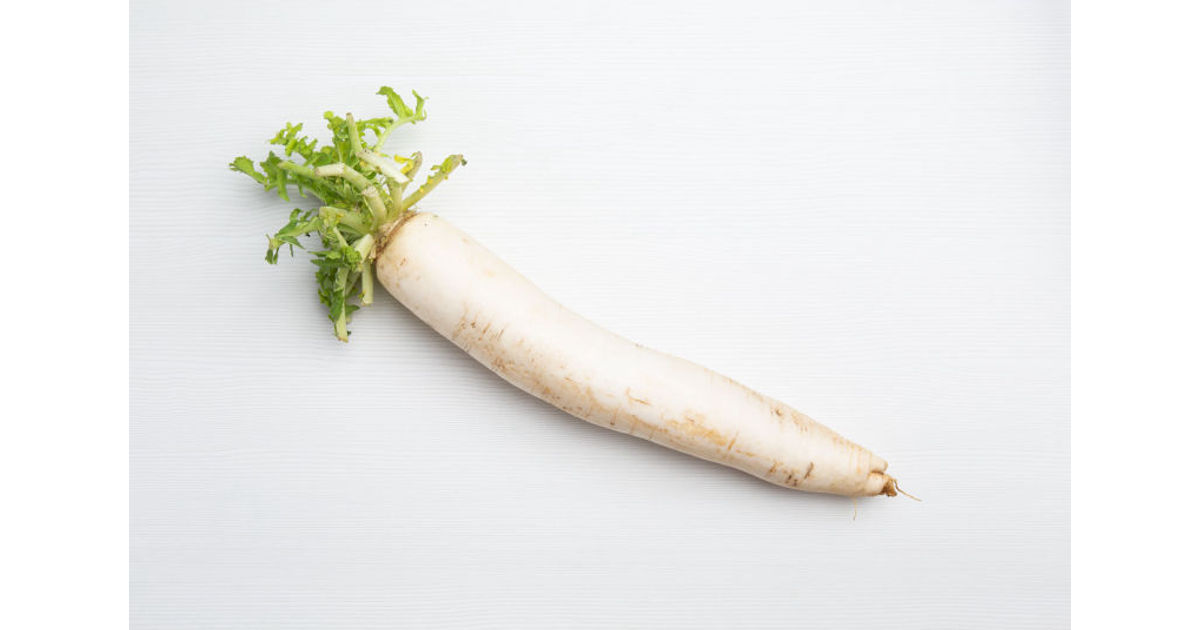 Daikon radish