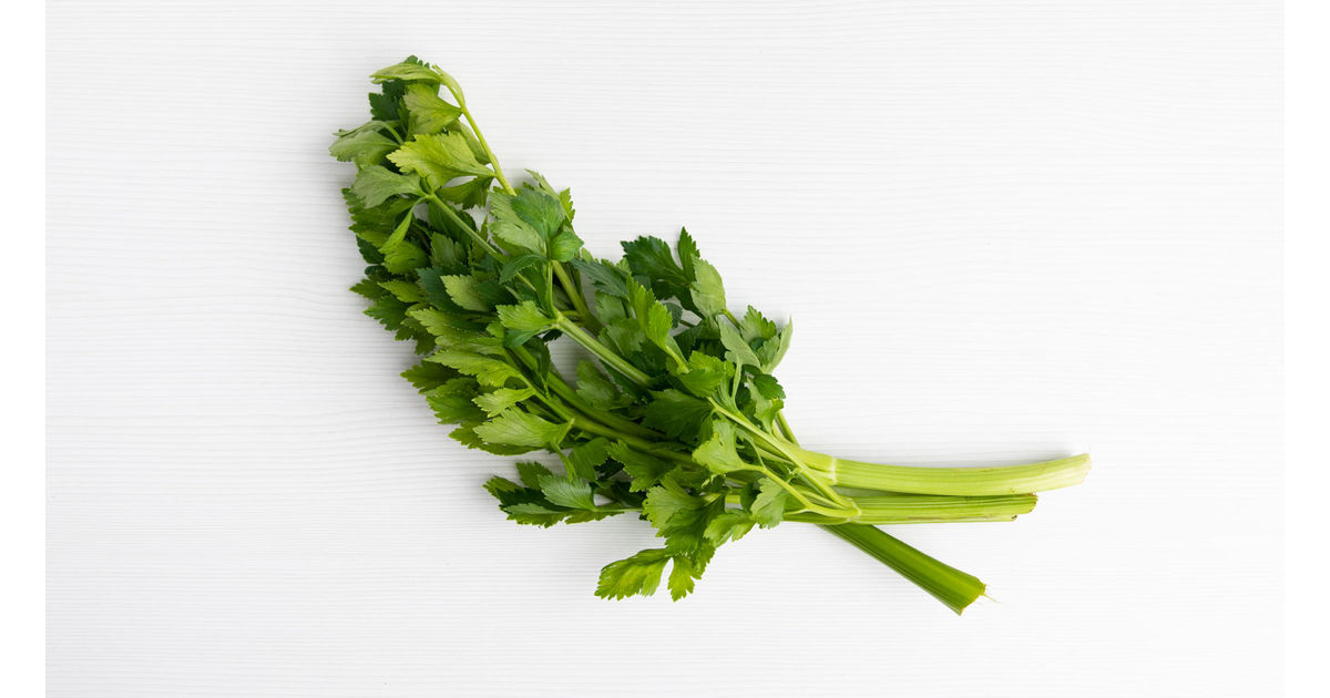 Celery with leaves