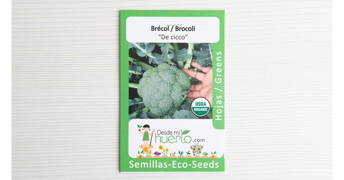 Broccoli Seed