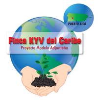 Logo de KyV farm