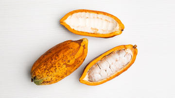 Cacao